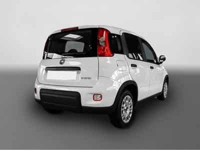 Fiat Panda (2024) - Foto 2