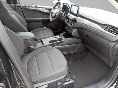 Ford Kuga (2023) - Photo 7