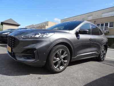 Ford Kuga 1.5 ST-LINE X 150CV (2022) - Foto 1