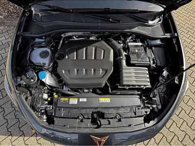 Cupra Leon (2025) - Photo 8