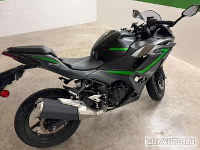 Kawasaki Ninja (2024) - Photo 4