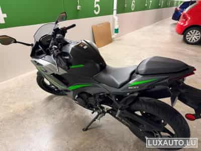 Kawasaki Ninja (2024) - Photo 5
