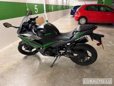 Kawasaki Ninja (2024) - Photo 6