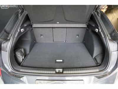 Cupra Terramar (2025) - Photo 7