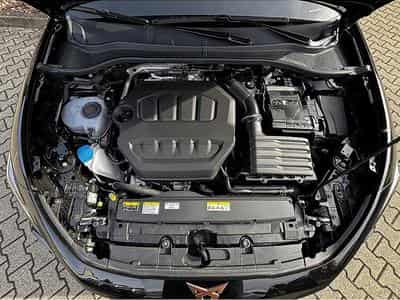 Cupra Leon (2025) - Photo 8