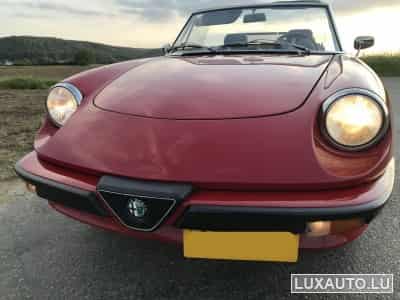 Alfa-Romeo Spider (1984) - Photo 12