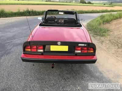 Alfa-Romeo Spider (1984) - Photo 13