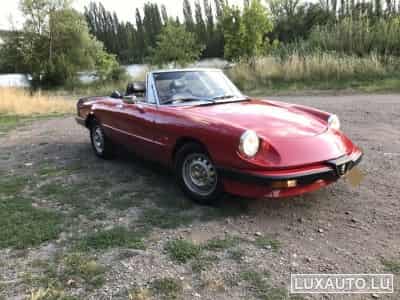 Alfa-Romeo Spider (1984) - Photo 8