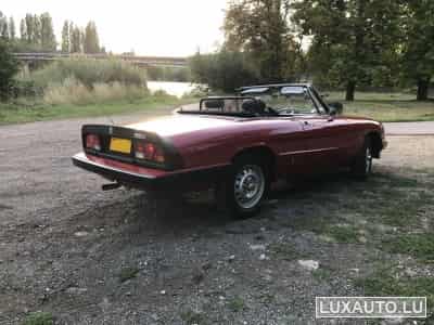 Alfa-Romeo Spider (1984) - Photo 9