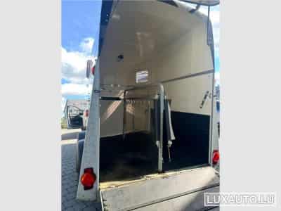 Remorque Animaux Humbaur Zephir (2015) - Foto 7