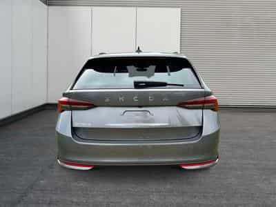 Skoda Octavia Selection (2025) - Photo 7