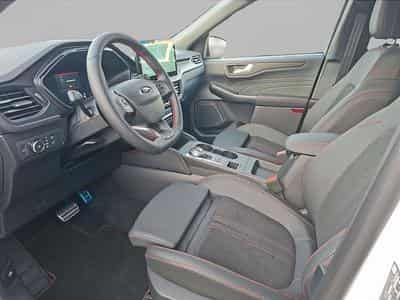 Ford Kuga (2024) - Photo 6