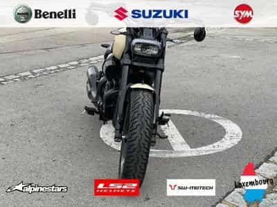 Benelli Leoncino BOBBER (2026) - Photo 4