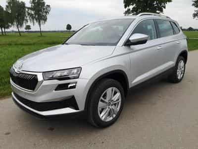 Skoda Karoq Selection (2025) - Photo 1