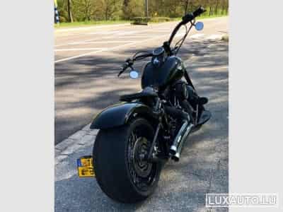 Harley-Davidson Cross Bones (2008) - Foto 2