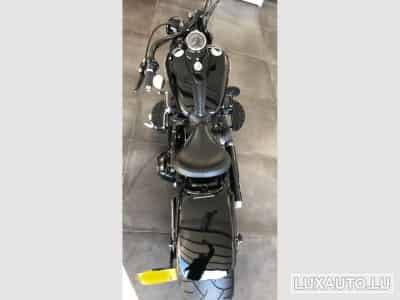 Harley-Davidson Cross Bones (2008) - Foto 4