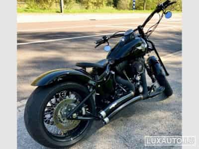 Harley-Davidson Cross Bones (2008) - Foto 5