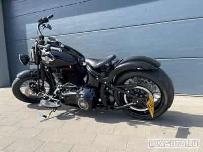 Harley-Davidson Cross Bones (2008) - Foto 7