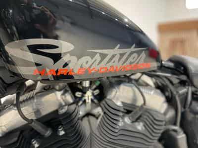 Harley-Davidson Sportster XL 1200 SPORTSTER Forty Eight (2011) - Photo 4