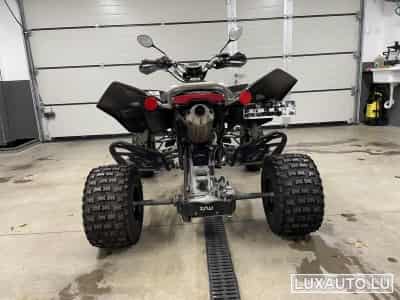 Suzuki LTR Paoletti Racing (2010) - Foto 6