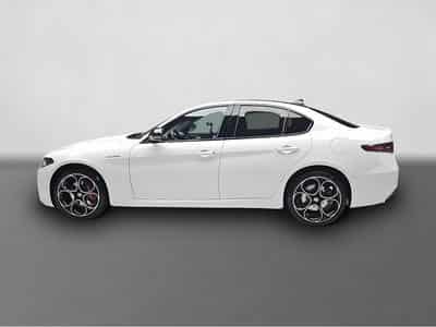 Alfa-Romeo Giulia (2026) - Foto 4