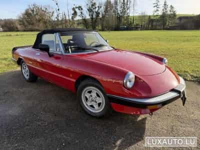 Alfa-Romeo Spider (1988) - Foto 8