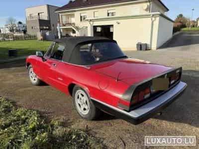 Alfa-Romeo Spider (1988) - Foto 9