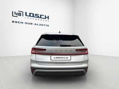 Skoda Kodiaq Selection (2025) - Photo 6