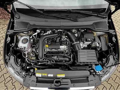 Seat Ibiza (2026) - Photo 8