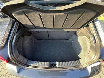 Seat Ibiza (2026) - Photo 4