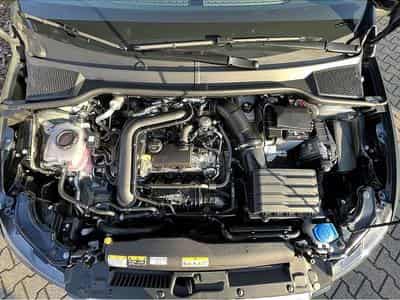 Seat Ibiza (2026) - Photo 8