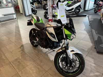 Kawasaki Z 1 (2024) - Foto 1