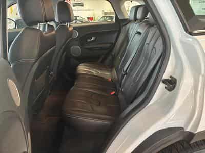 Land-Rover Range Rover Evoque Dynamic (2015) - Photo 13