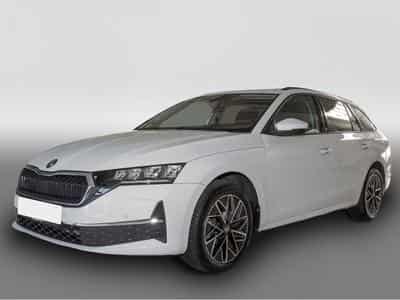 Seat Ibiza (2024) - Photo 1