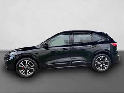 Ford Kuga (2024) - Photo 2