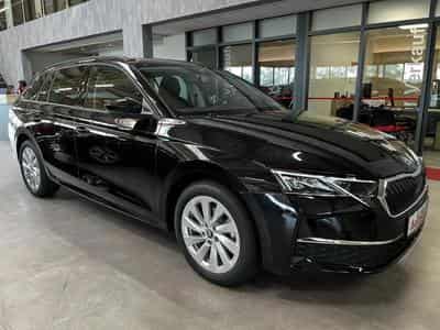 Skoda Octavia (2025) - Photo 3