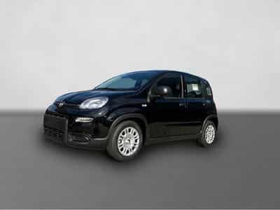 Fiat Panda (2025) - Foto 1