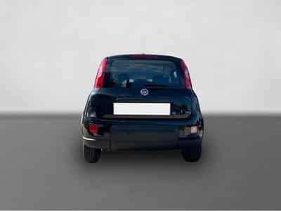 Fiat Panda (2025) - Photo 3