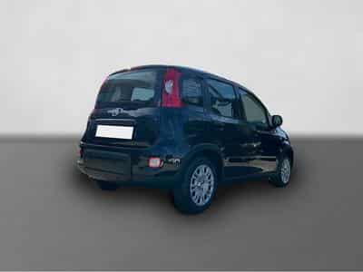 Fiat Panda (2025) - Photo 4