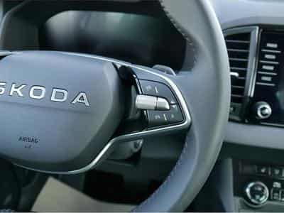 Skoda Karoq (2026) - Photo 15