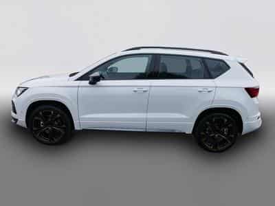Cupra Ateca (2026) - Photo 5
