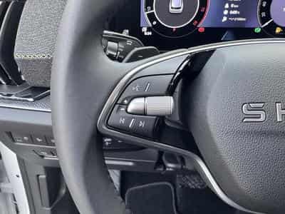 Skoda Kodiaq Selection (2026) - Photo 9