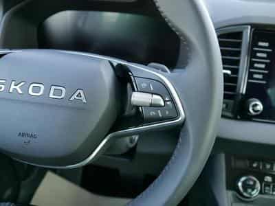 Skoda Karoq Selection (2025) - Photo 15