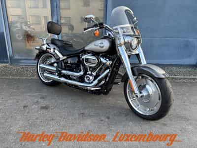 Harley-Davidson Fat Boy (2024) - Foto 1