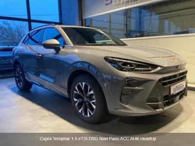 Cupra Terramar 1.5 eTSI DSG Navi Pano ACC ATR HeadUp (2025) - Foto 2