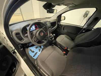 Fiat Panda Hybrid City (2025) - Photo 3
