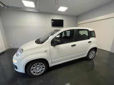 Fiat Panda Hybrid City (2025) - Photo 2
