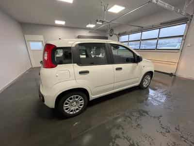 Fiat Panda Hybrid City (2025) - Photo 4