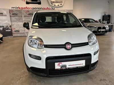 Fiat Panda (2023) - Photo 1