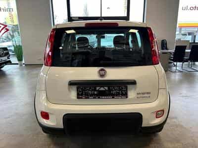 Fiat Panda (2023) - Photo 4